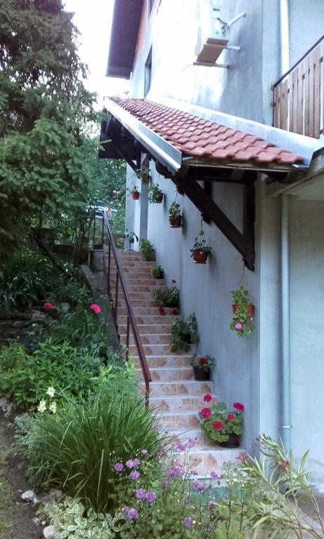 Apartmani "Vila Jelena" Аранджеловац Екстериор снимка