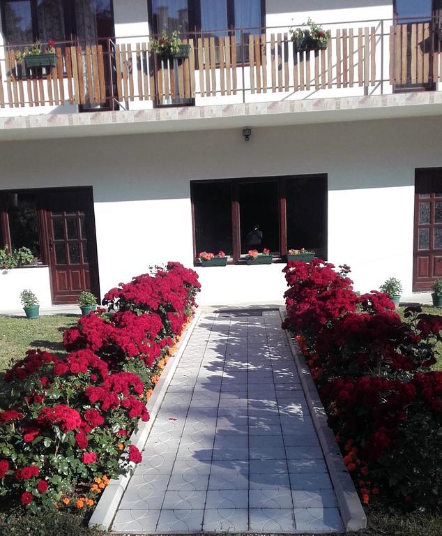 Apartmani "Vila Jelena" Аранджеловац Екстериор снимка